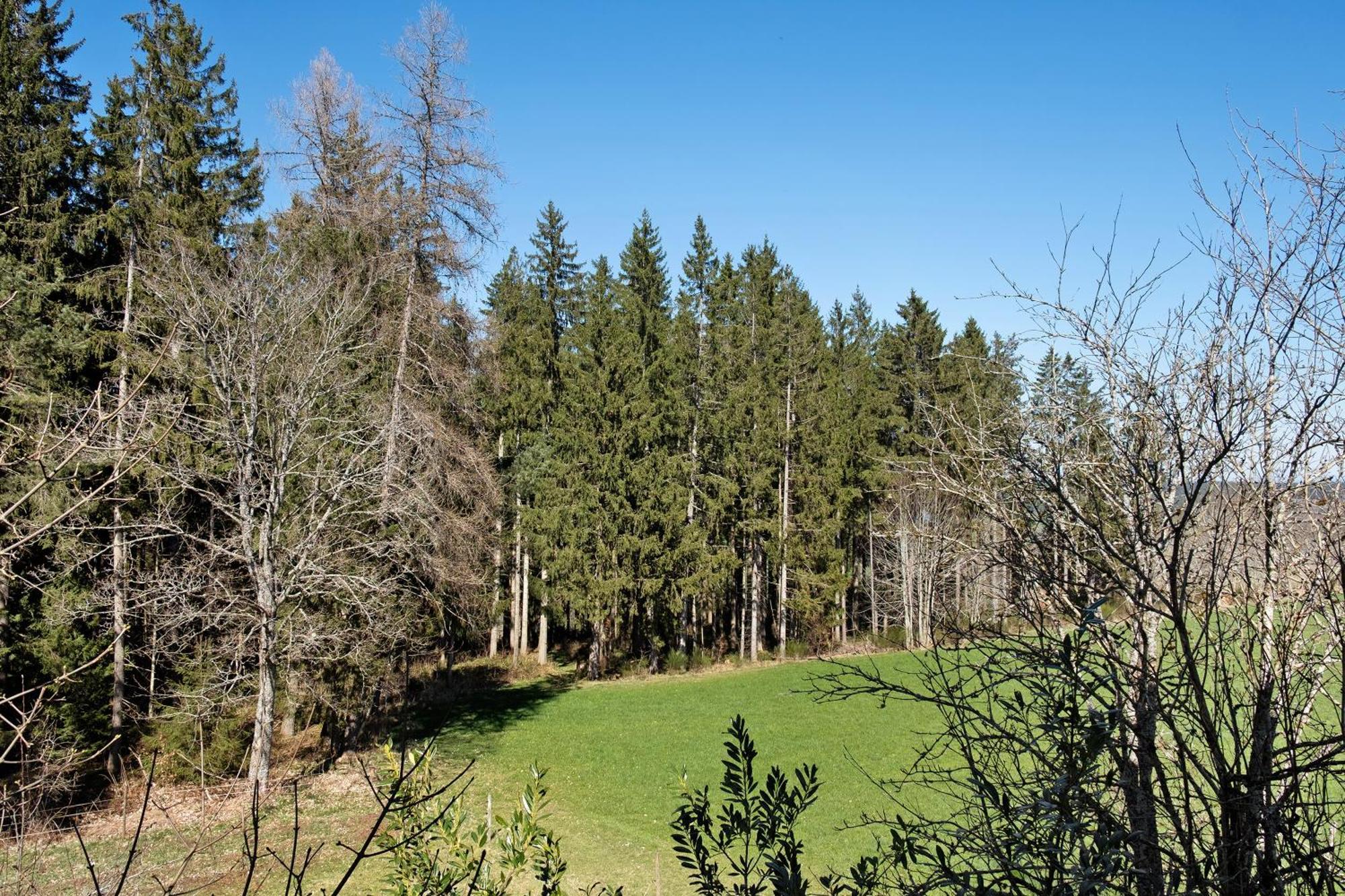 Ferienwohnung Schartenschmiede Sankt Georgen im Schwarzwald Exterior photo